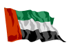 Flag of UAE